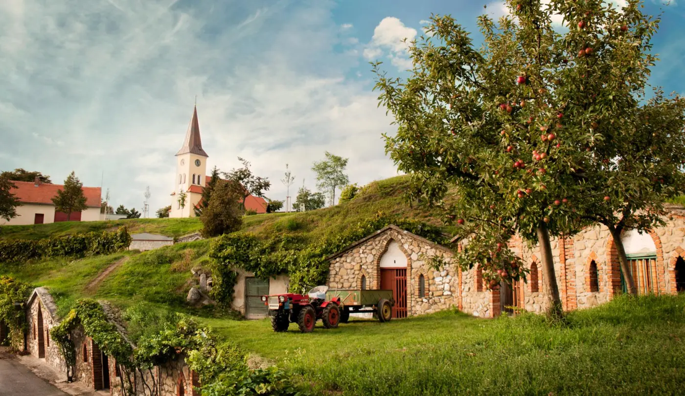 Vineyards around the village of Vrbice in South Moravia
